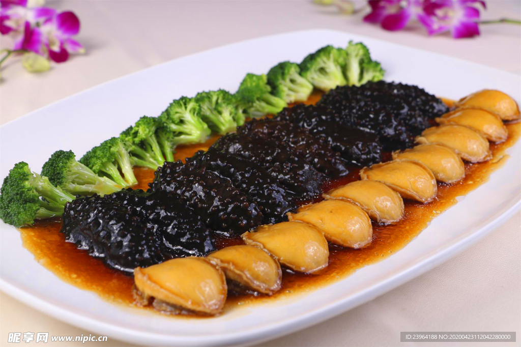 大连鲍扣腰参