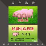 月猪名片