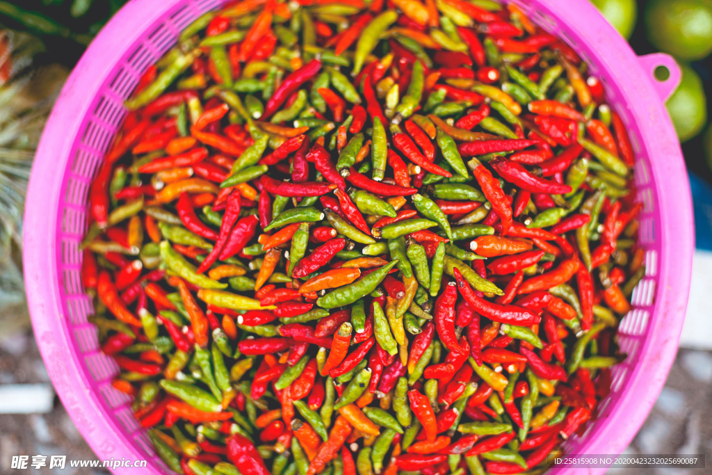 辣椒菜椒红椒青椒图片