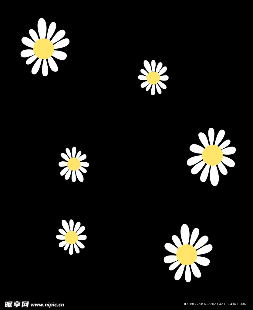小雏菊