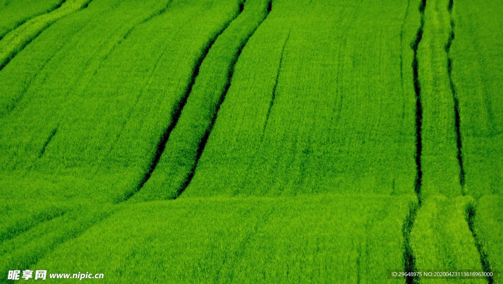 美丽风景 养眼背景 绿色护眼背