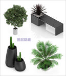 植物盆栽