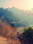 风景