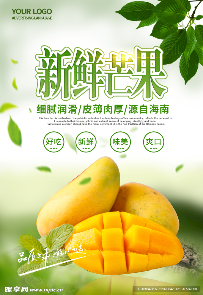芒果海报 新鲜芒果 芒果上市