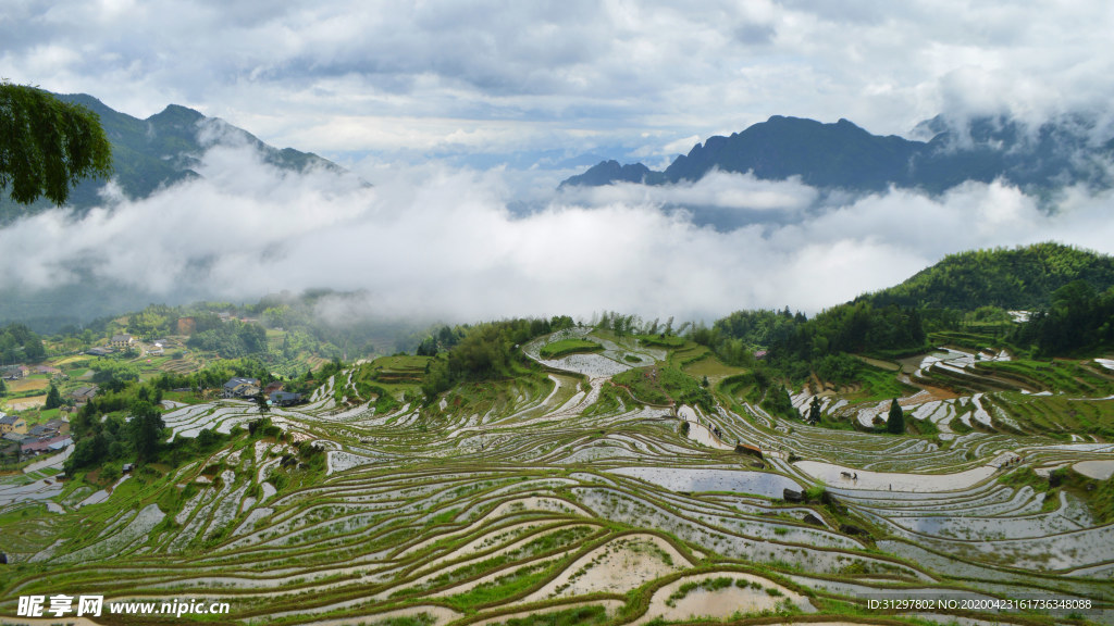 龙脊梯田