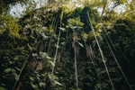 山崖