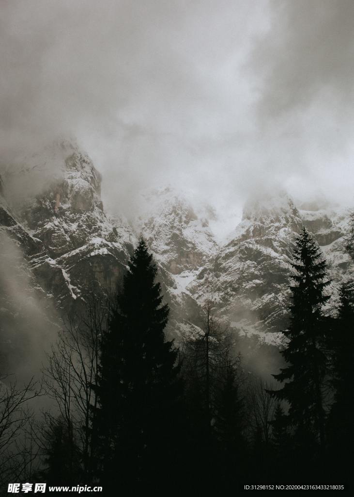 雪景