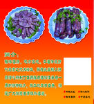 香肠