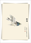 鲱鸥 水墨画