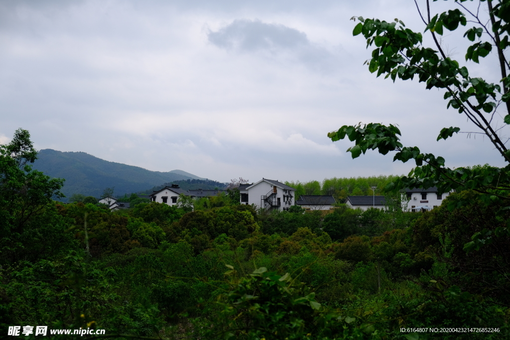 石塘人家 森林小屋