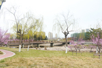 春天公园