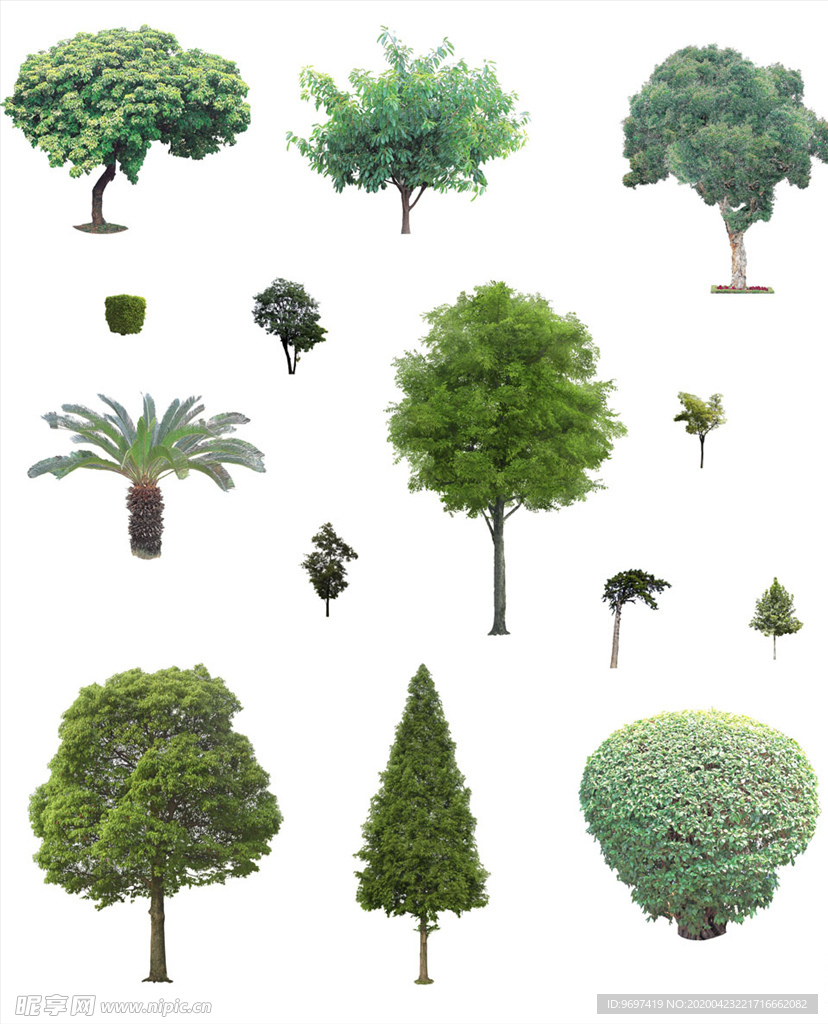景观环艺树木元素