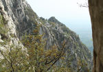 嵩山禅院