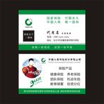 中国人寿保险