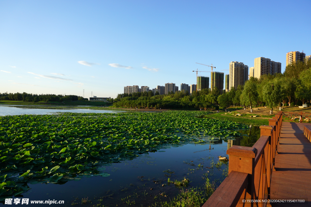 沈阳丁香湖边建筑的景色