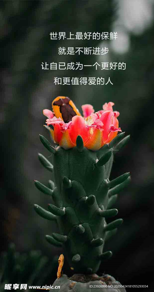 早安正能量