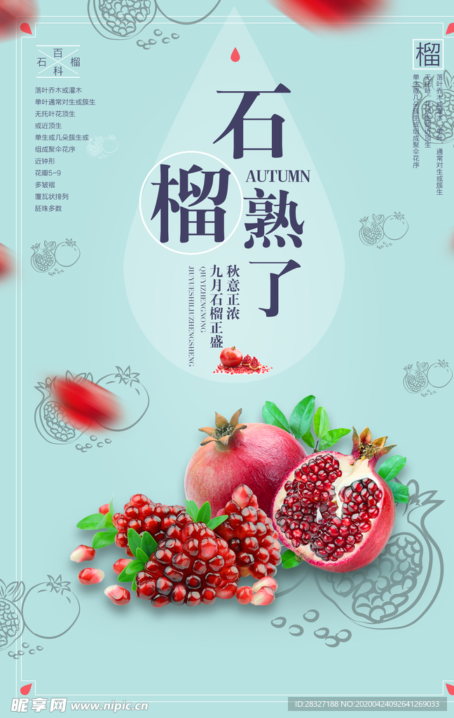 石榴熟了