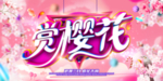 樱花节