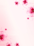 樱花节