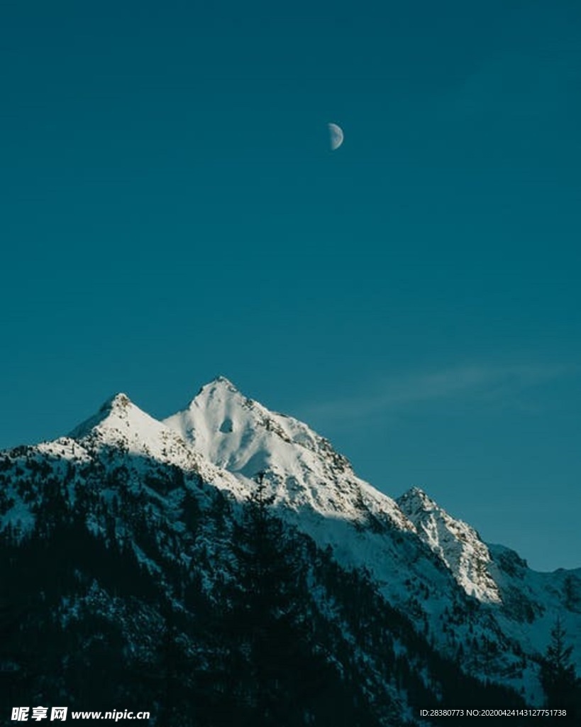 山
