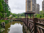 风景图