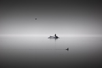 黑白 泛舟 湖水
