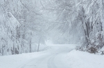 大雪 公路 白色 冬天