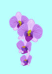 花苞