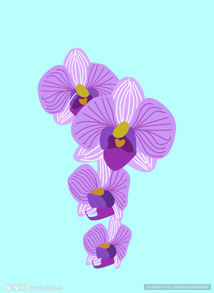 花苞