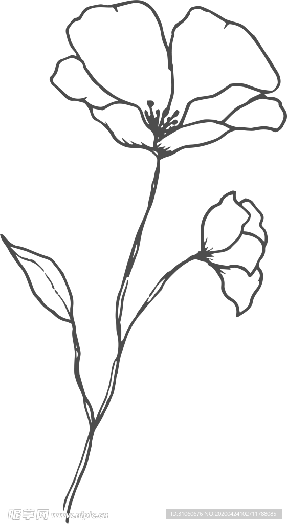 花线稿素材