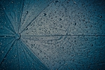 雨伞雨滴