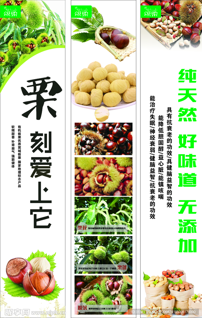 板栗海报