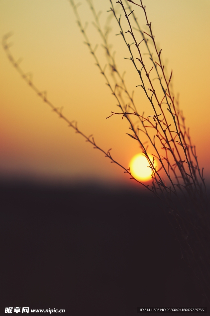夕望