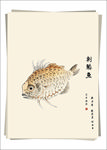 刺鳞鱼 水墨画