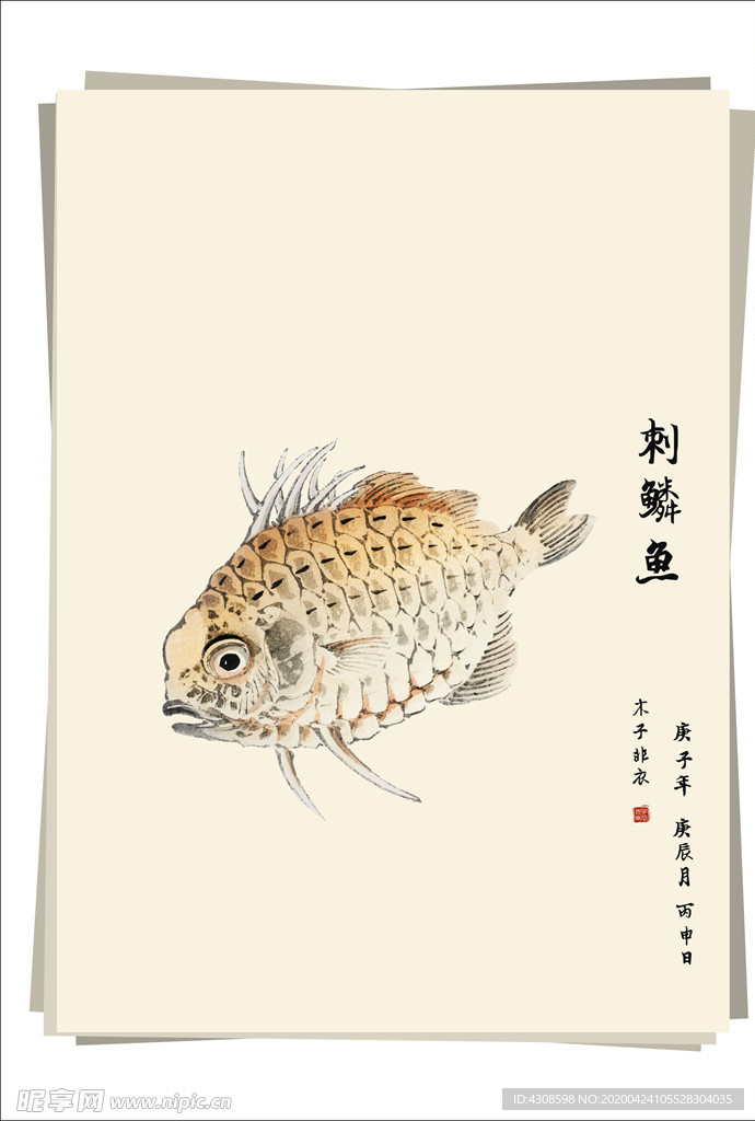 刺鳞鱼 水墨画