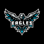 雄鹰LOGO