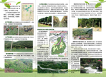 园林公司宣传折页