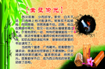 凿壁偷光