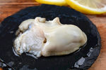 生蚝肉