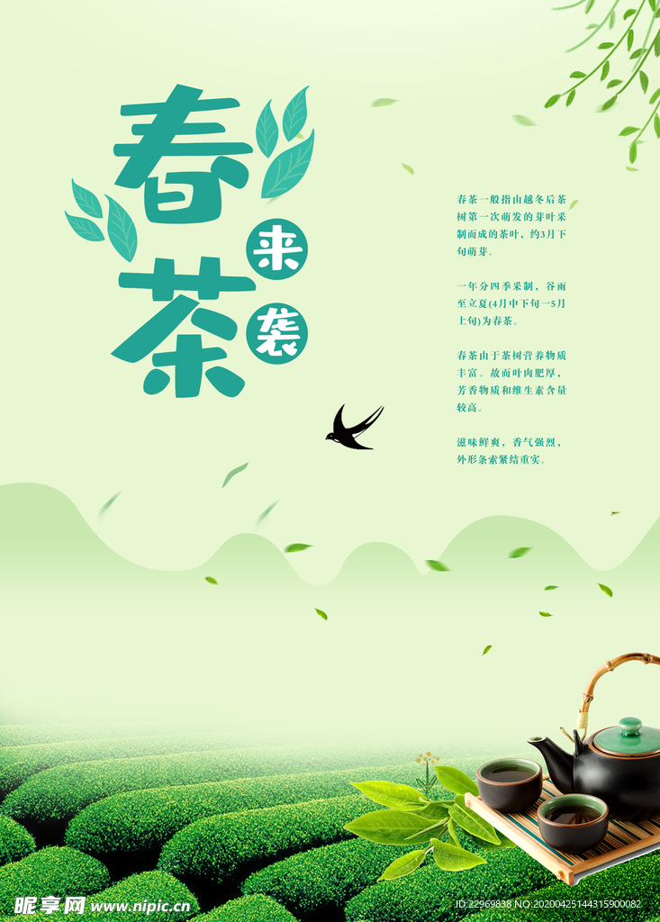 春茶上新