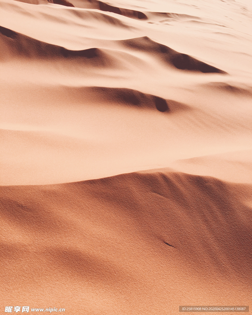 沙漠戈壁荒野遗迹图片