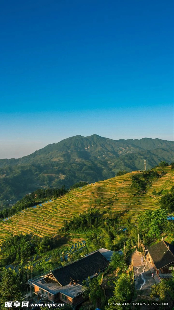 图片素材