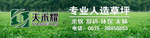 草坪