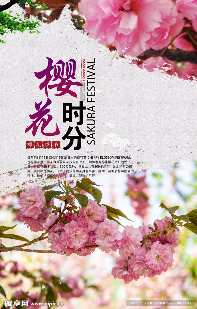 樱花节