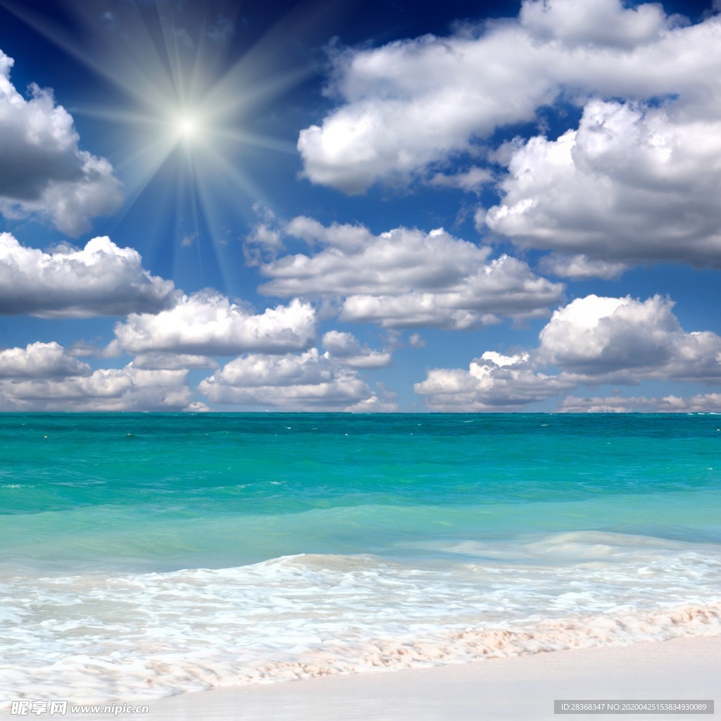 海岸
