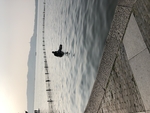 西湖风景 山上 上山 景色 风