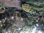 半山风景