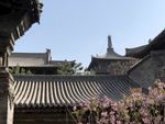 屋顶