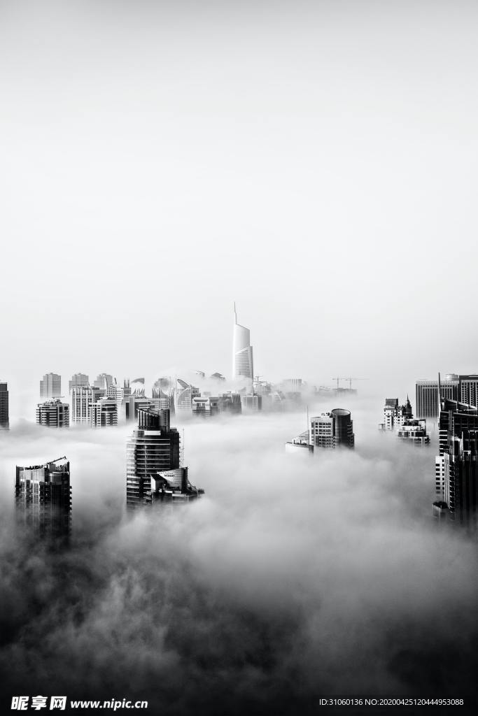 城市高楼