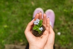 手捧小花